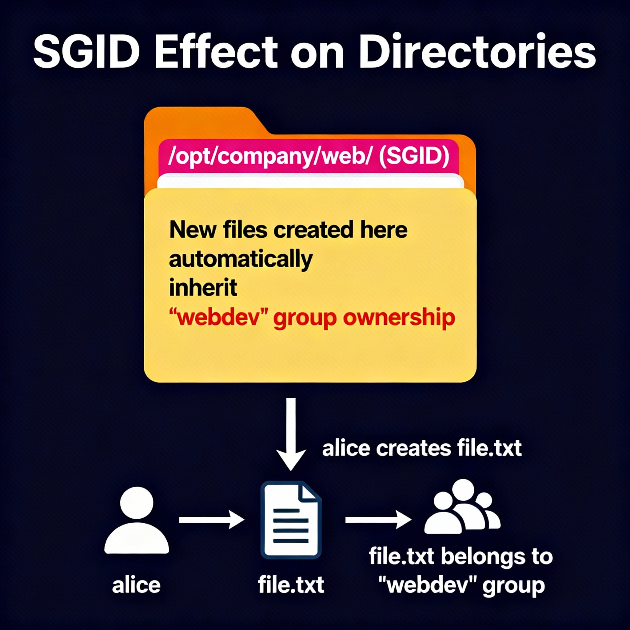 SGID effect on directories showing automatic group inheritance for new files in Linux