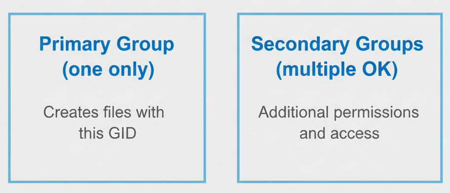 Linux primary and secondary group membership diagram showing GID structure